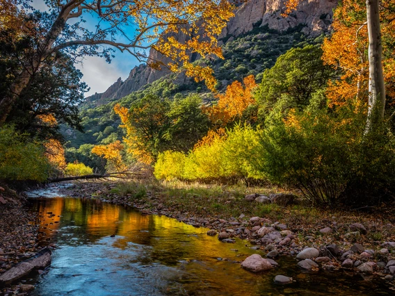 stream