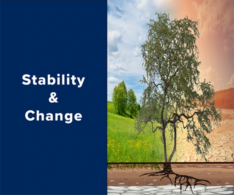 stability
